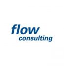 flow consulting | 